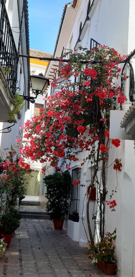 Precioso Y Acogedor Atico Old Town Lägenhet Marbella Exteriör bild