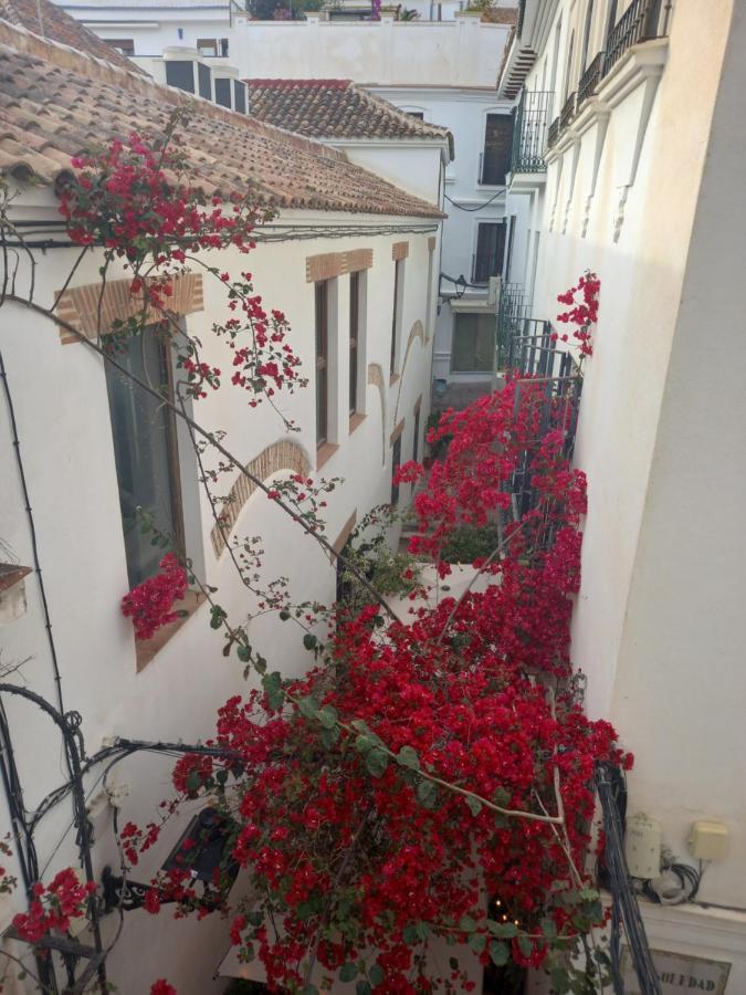 Precioso Y Acogedor Atico Old Town Lägenhet Marbella Exteriör bild